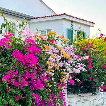 酒店 Alacati Xl Luxury Çeşme