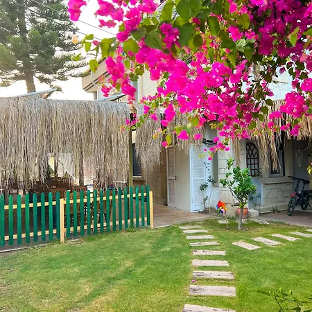 Alacati Xl Luxury Otel Çeşme