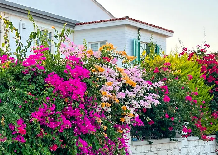 Hotel Alaçati Xl Luxury Çeşme